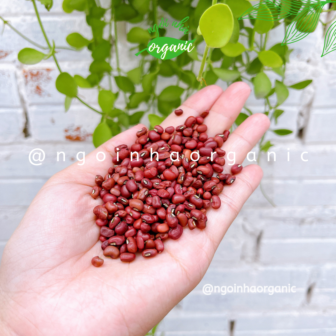[Nông sản Việt] Đậu đỏ hạt nhỏ thuần chủng tự nhiên (200g/500g/1000g)