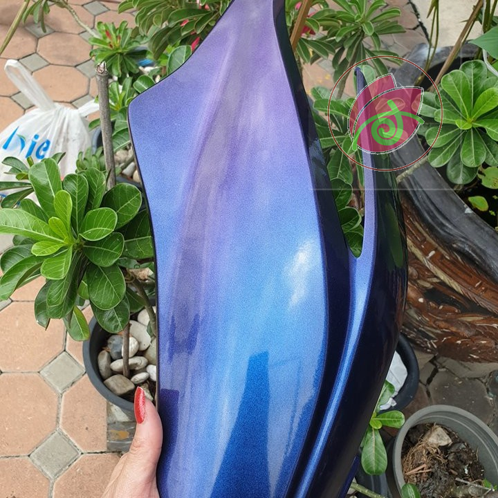 SƠN xịt SAMURAI màu 3D T901 XANH TÍM TITAN
