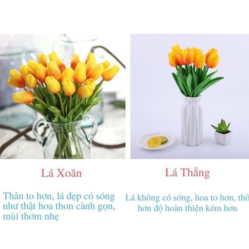 Bó 10 cành hoa tulip giống thật ( 10 cành hoa tuylip giả -lá xoăn -looại 1)