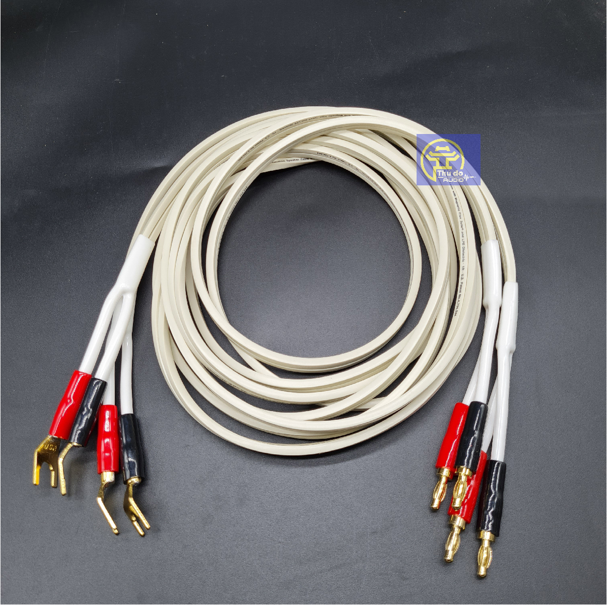 Cặp dây loa Monster XP 2 lõi*1.5mm 240 sợi đồng nguyên chất Jack bắp chuối và càng cua