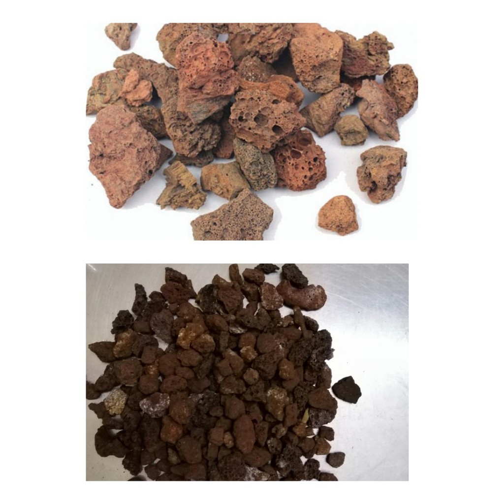 [HCM]1KG NHAM THẠCH NÚI LỬA LỌC NƯỚC HỒ CÁ