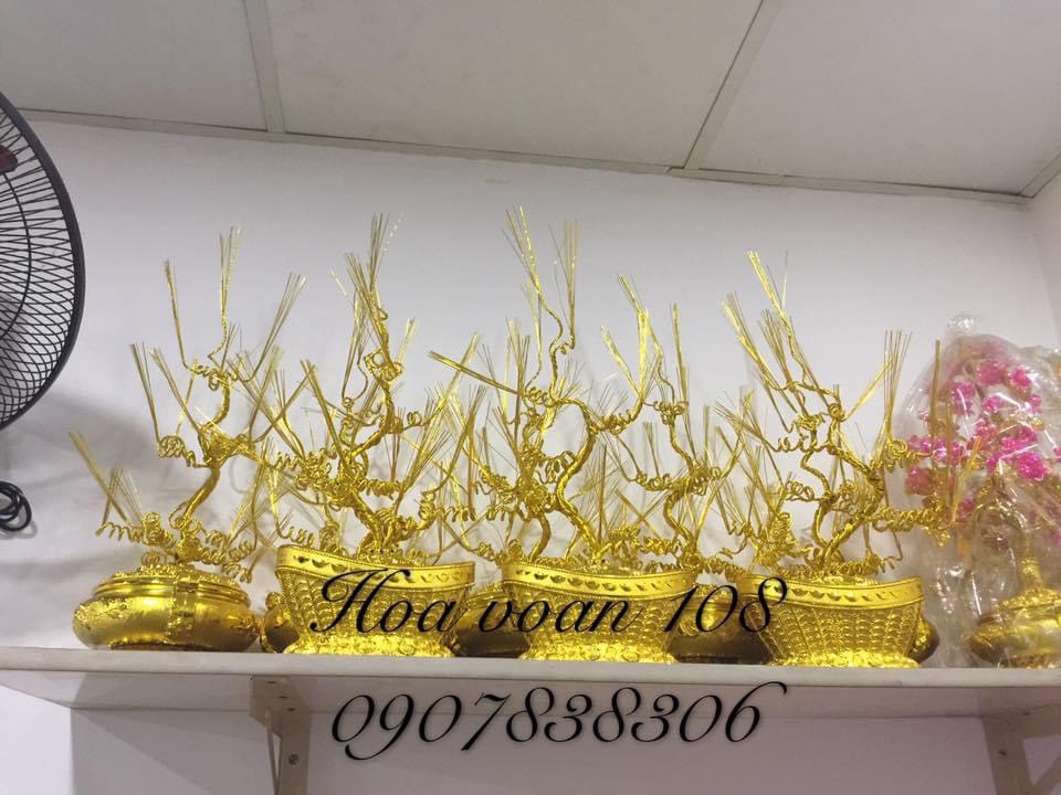 Gốc cây thỏi vàng cao 55cm