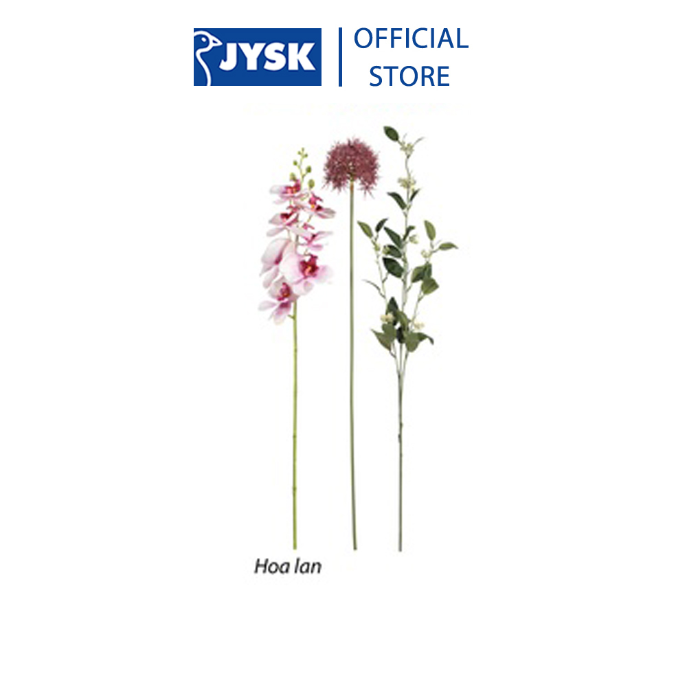 Hoa trang trí | JYSK Hedvig | polyester | nhiều màu | D70cm