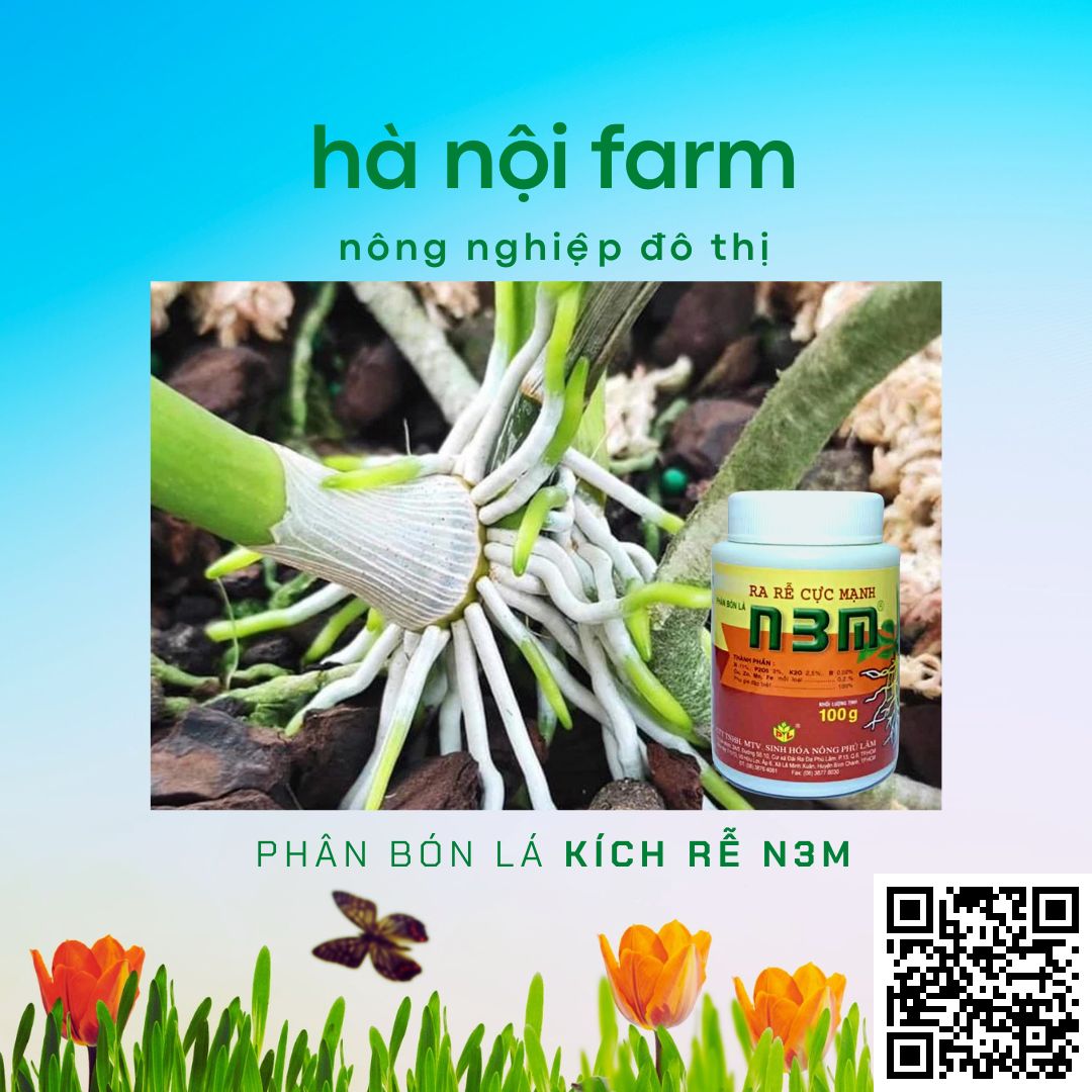 N3M kích ra rễ, N3M bột 100g