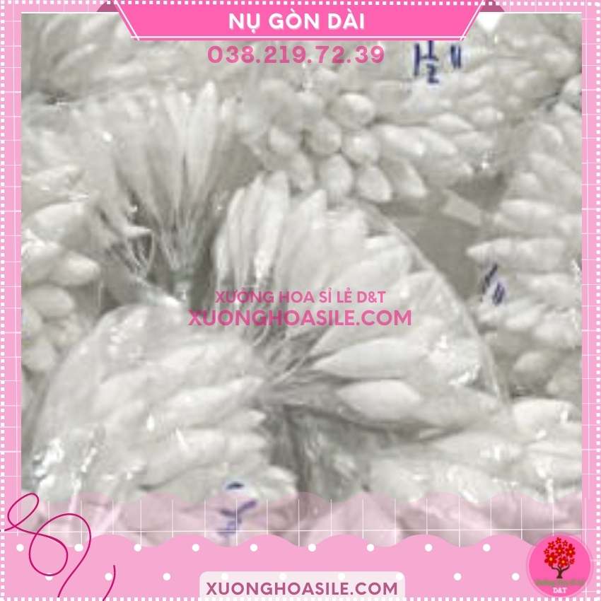 [HCM]NỤ GÒN DÀI