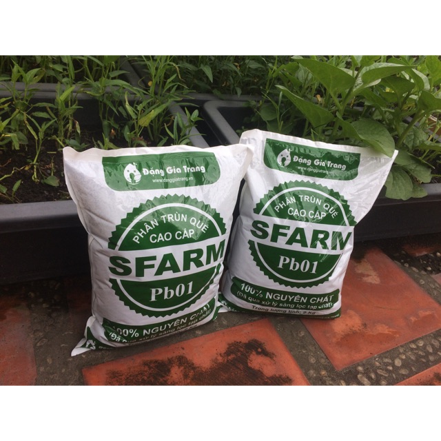 1 kg phân trùn quế Sfarm Pb01 TRỒNG CÂY