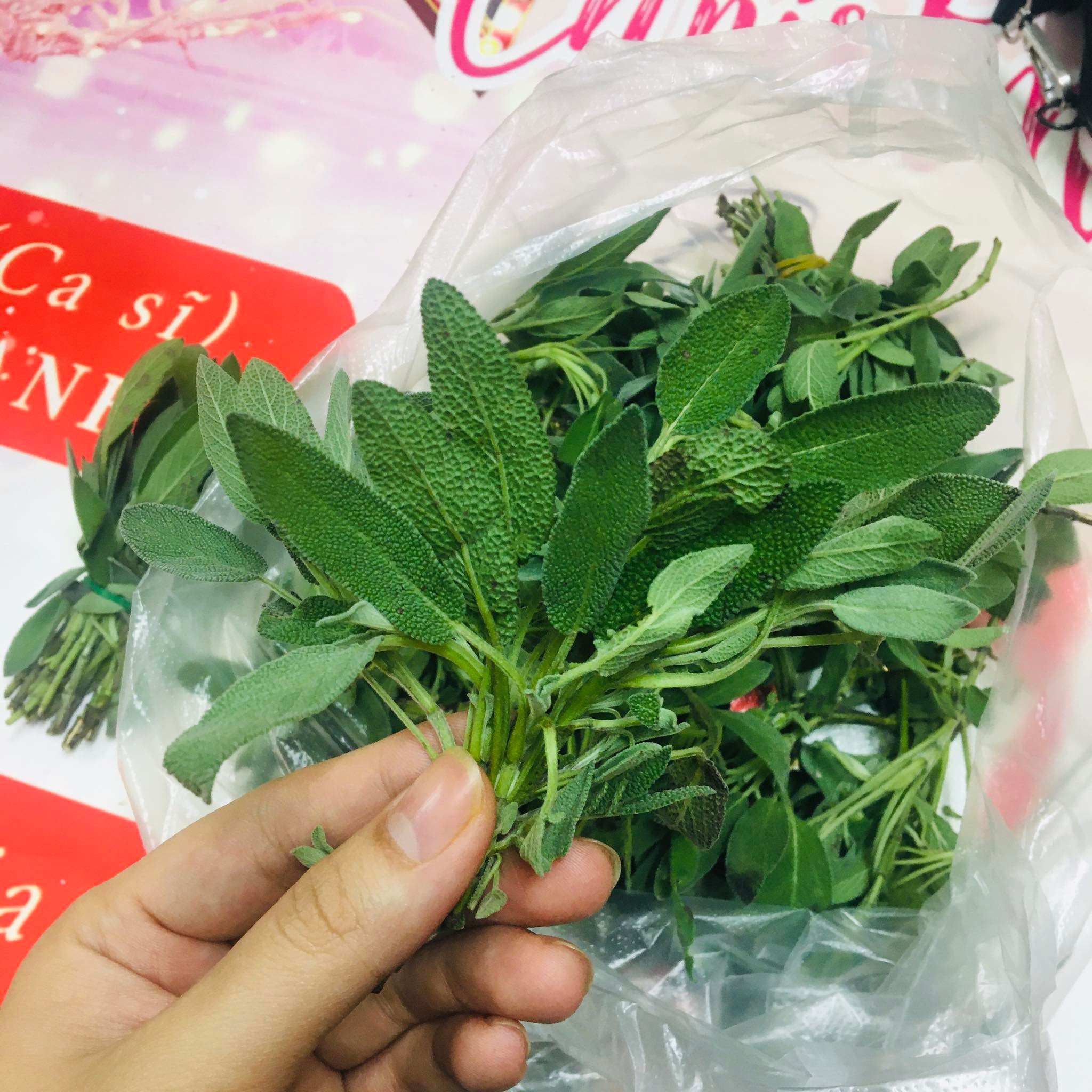 (chỉ giao miền Bắc+TUNG)Lá xô thơm sage tươi 50g,100g