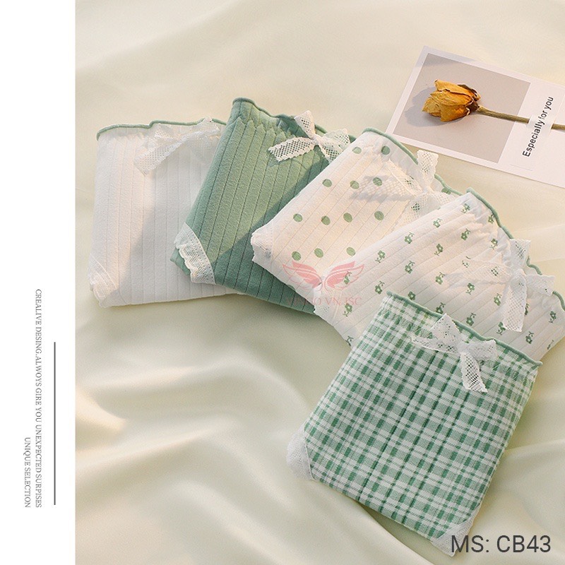 Combo 5 quần lót cotton nữ Vingo CB43 VNGO
