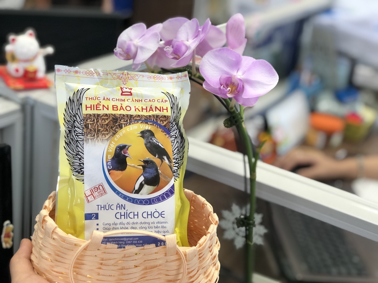 COMBO 2 GÓI - CÁM CHÍCH CHÒE SỐ 2 HIỂN BẢO KHÁNH