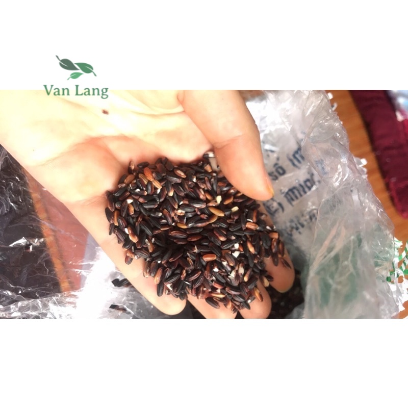 1 kg gạo nếp cẩm điện biên ngon dẻo bổ dưỡng