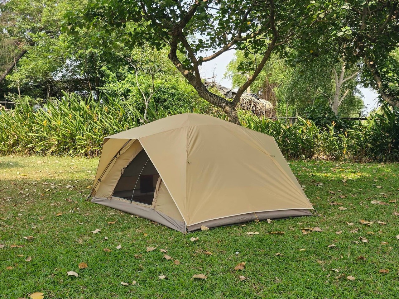Lều 6 người dragon dome 6p ltl