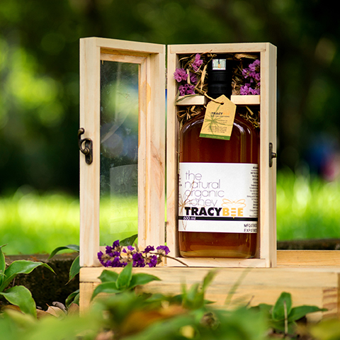 Hộp đơn quà tặng mật ong cà phê Tracybee 850G