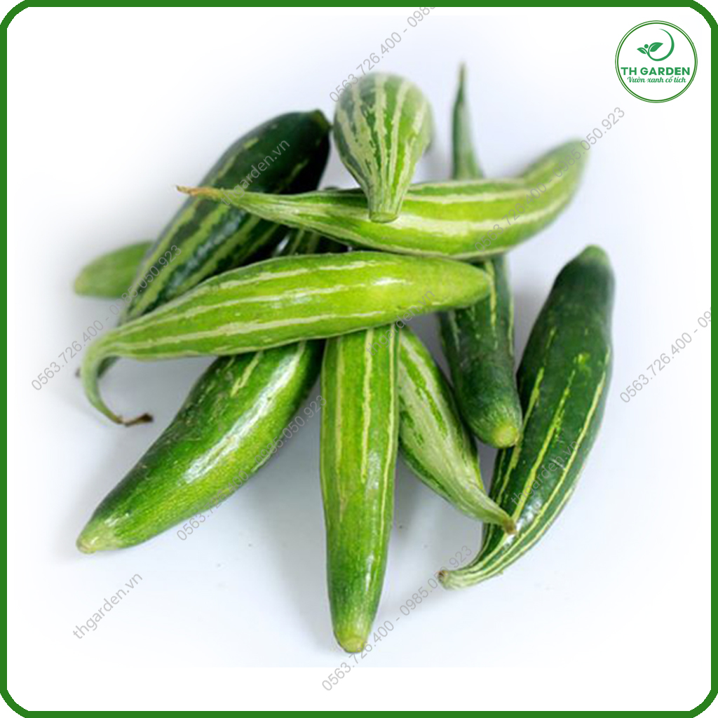 Hạt Giống Lặc Lè (Mướp Nhật) - Gói 5 gr P4U
