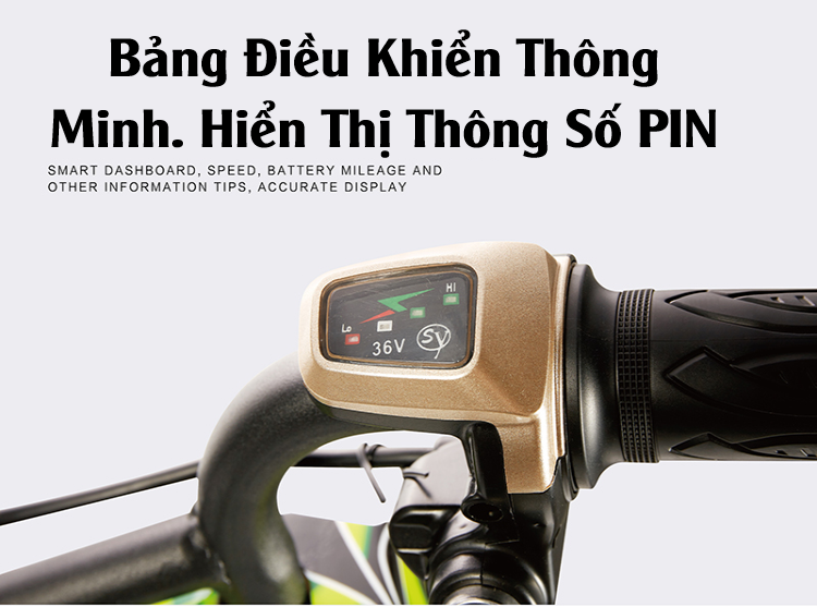 Xe điện 3 bánh trẻ em - Drift Scooter 36V (Tay Ga)