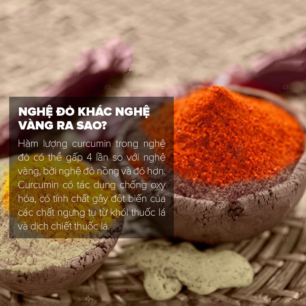 [500GR] Tinh Bột Nghệ Đỏ Toro Nguyên Chất 100% | TORO FARM