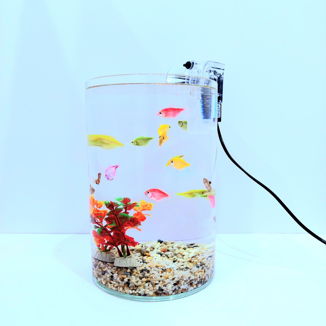 [Hoàn Tiền 10%] Bể cá mini tròn D20-H30 nhiều mẫu