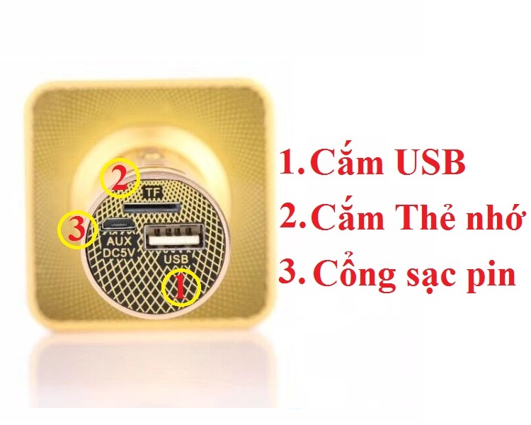 Micro karaoke SD08 Auth kèm loa bluetooth thẻ nhớ USB 3 TRONG 1 391