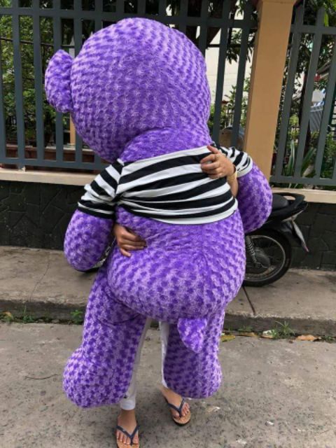 Gấu bông teddy size lớn