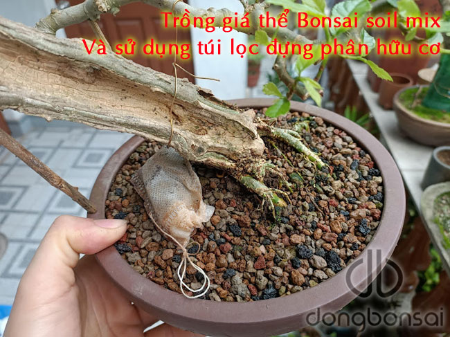 Túi lọc đựng phân 8x10cm (số lượng 100 túi)