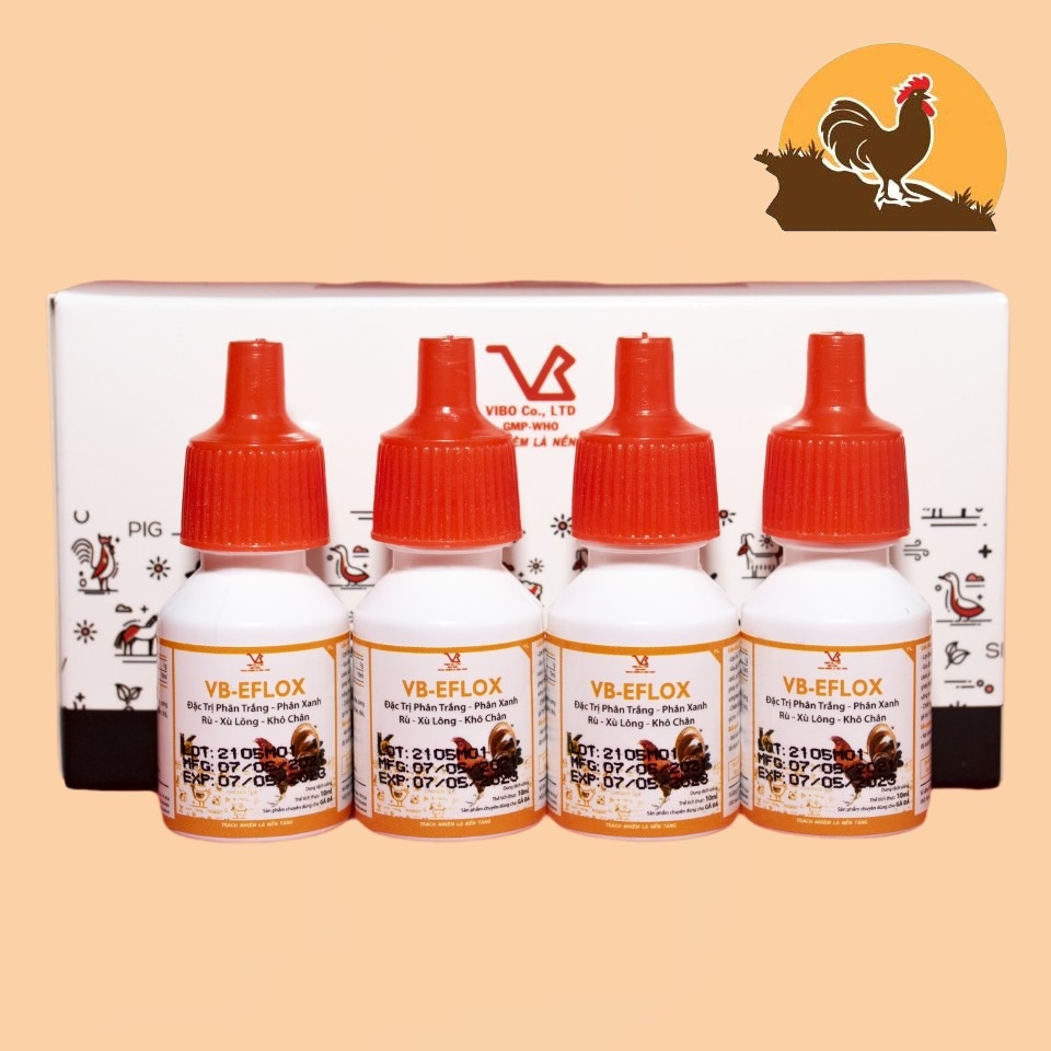 VB-EFLOX -10 LỌ X 10 ML phân trắng, phân xanh, rù, xù lông