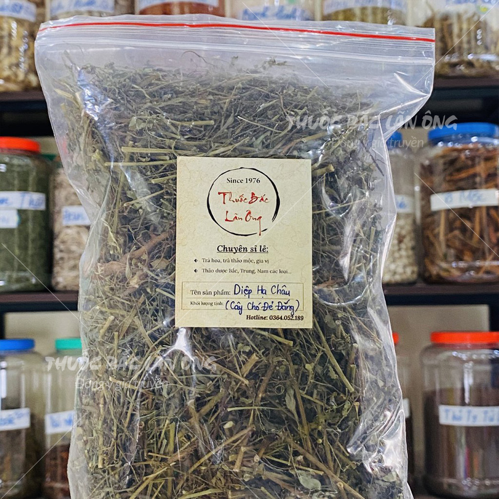 100g Chó Đẻ Đắng (Diệp Hạ Châu)