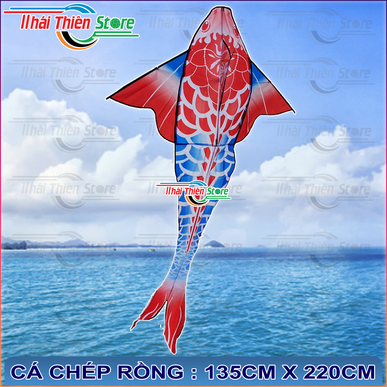 Diều cá koi, chép rồng nhiều màu