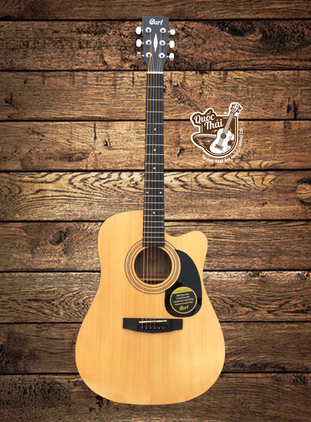 Đàn guitar acoustic cort ad810ce