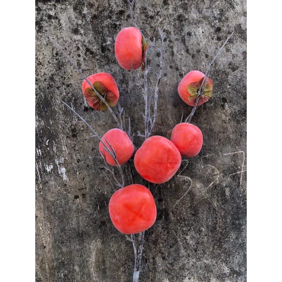 Branches fruit pink trĩu Berry long 60cm home decoration, making bonsai luxury