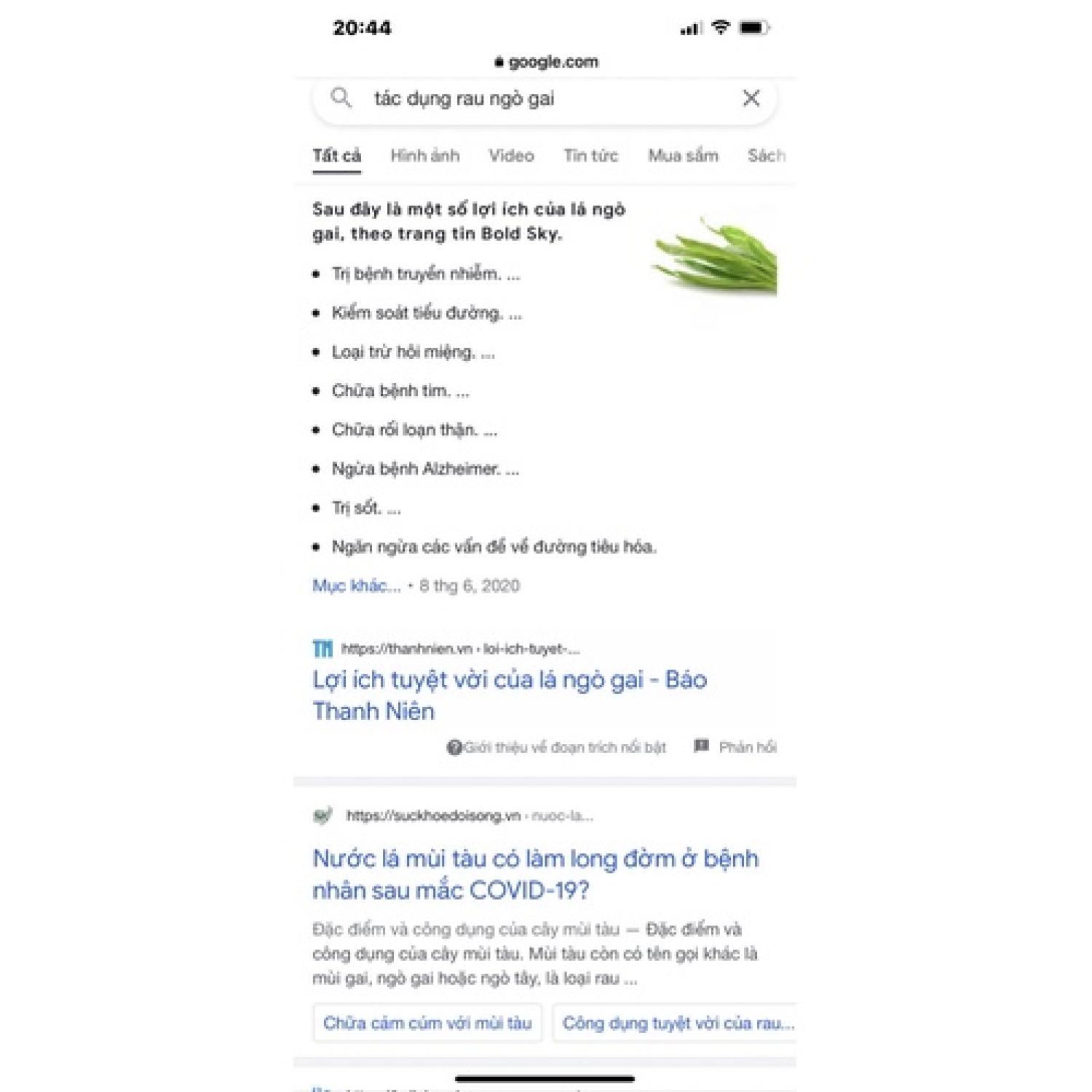 Bầu rau mùi tàu/ ngò gai