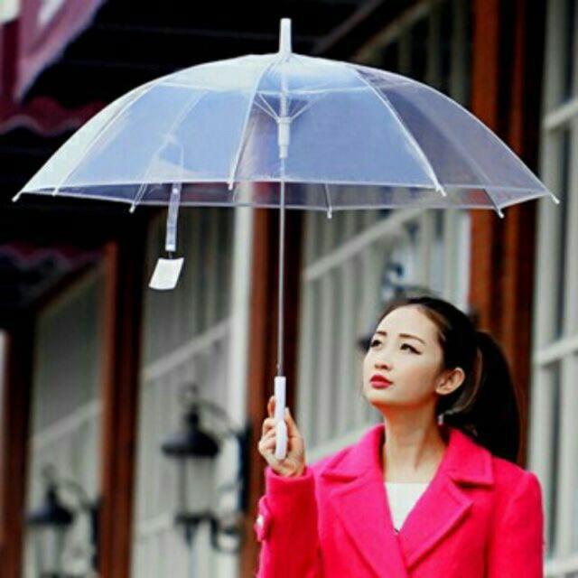 hot Ô TRONG SUỐT CÁN DÀI CÓ TAY CẦM