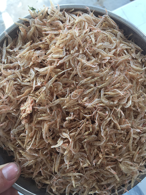 [combo 2 gói 500gram] - RUỐC KHÔ / TÉP KHÔ ĐẶC SẢN ĐÀ NẴNG