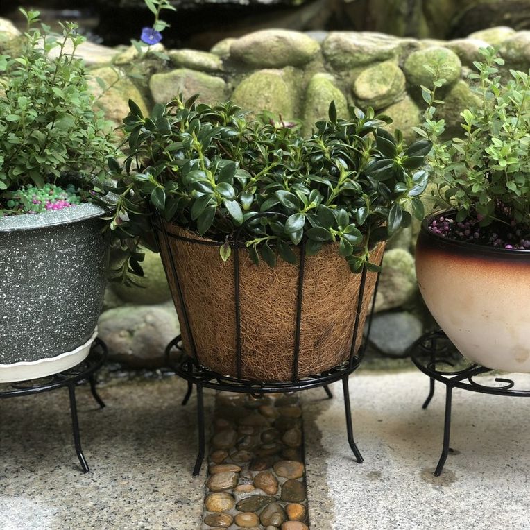 [GREEN HOUSE] Chân đế lùn sắt tĩnh điện kê chậu hoa, cây cảnh