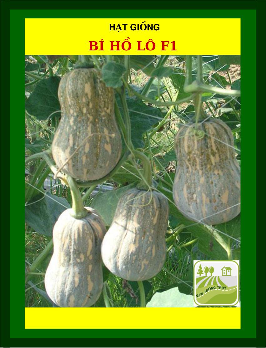 Hạt Giống Bí Hồ Lô - 2Gram