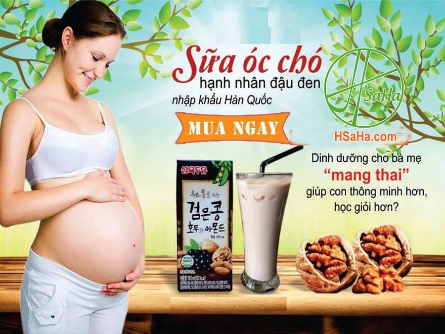 Sữa óc chó dạng hộp 190ml 24 hộp/thùng