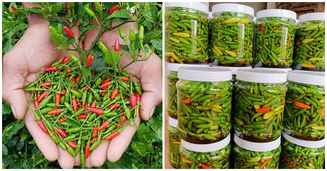 Ớt hiểm ngâm nước mắm