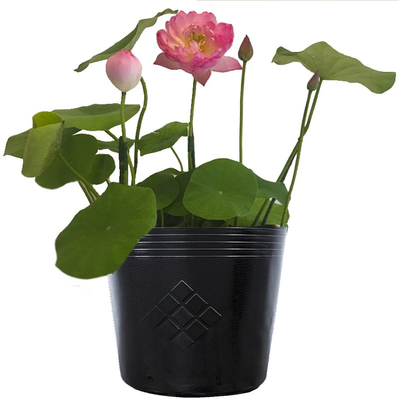 [HCM]100 Chậu 25x21x21cm nhựa PE dẻo trồng cây bền từ 5 đến 10 năm-77304