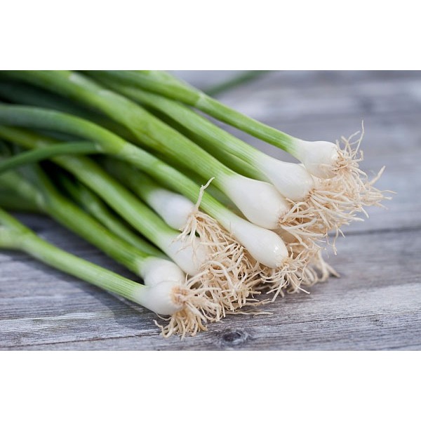 Gói 5gr hạt giống hành ta ( hành hương)