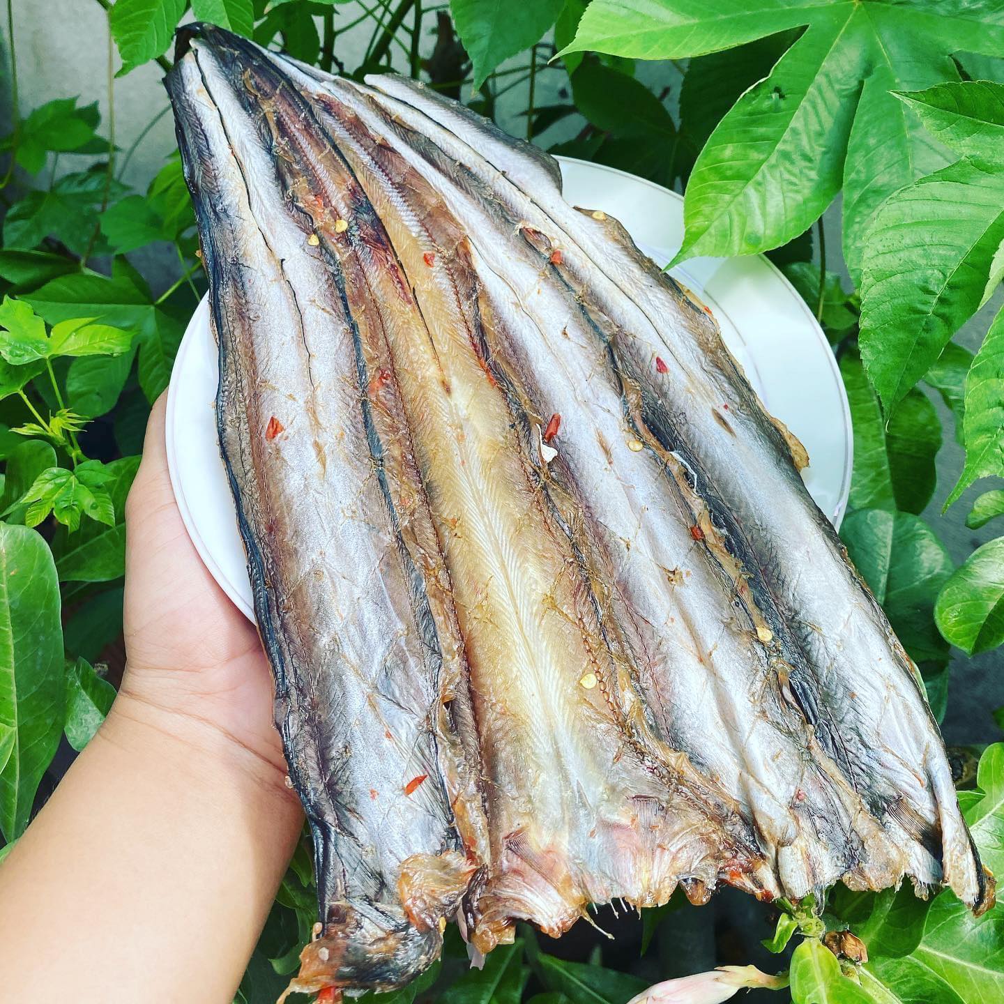 Cá sùn sịn khô tẩm ướp - Takifood