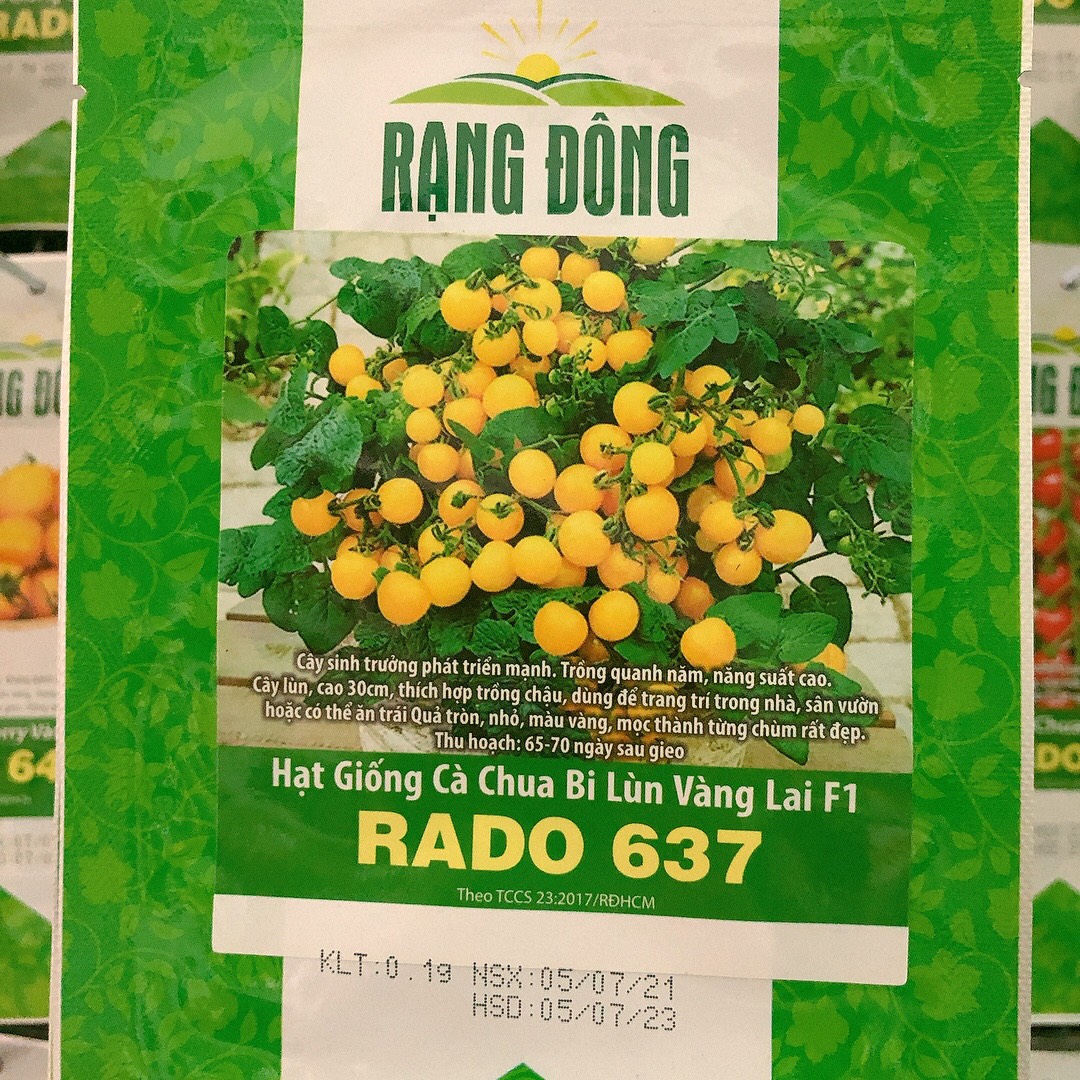 Giống cà chua bi lùn vàng (0.1g)
