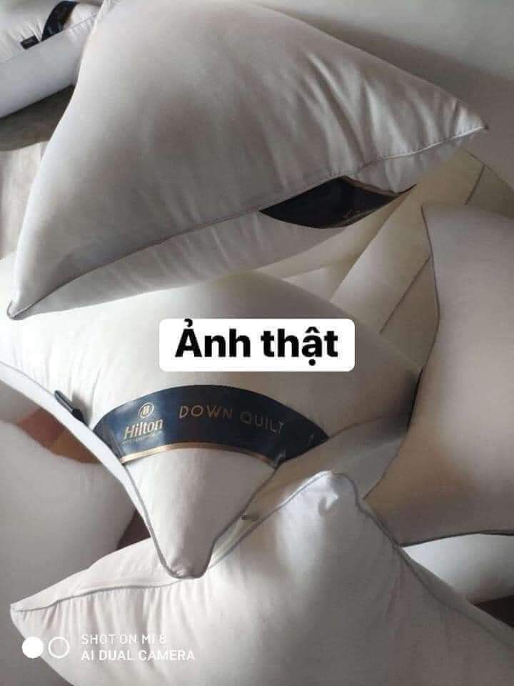 SET 2 GỐI HILTON