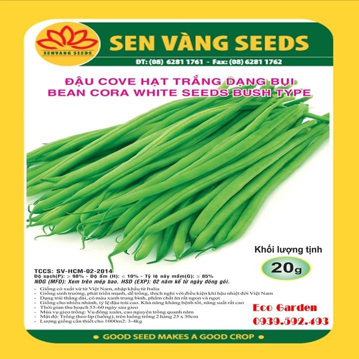 Hạt giống đậu Cove hạt trắng dạng bụi - 20GR