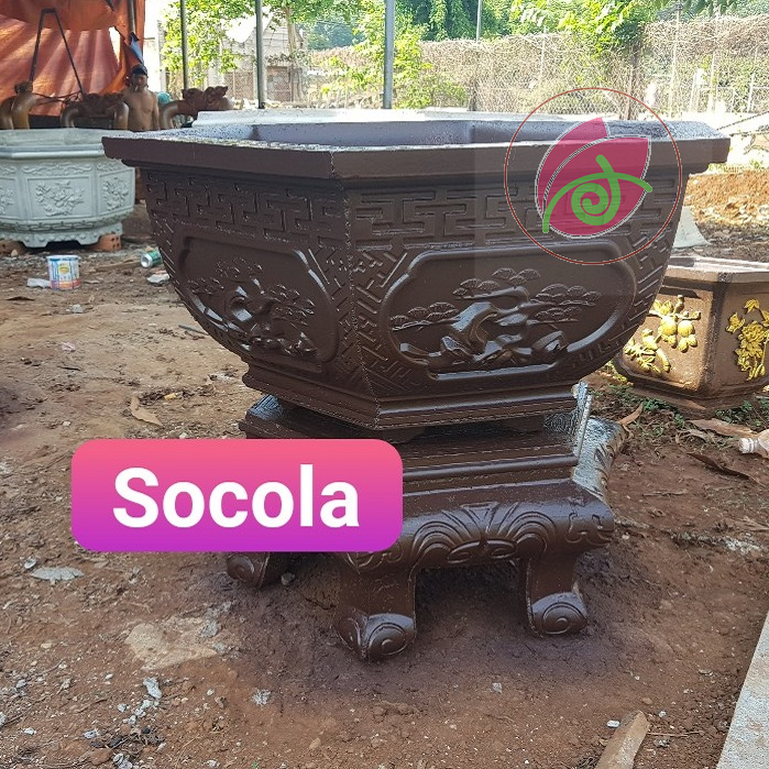 Sơn chậu màu SOCOLA DOLPHIN hệ nước 1kg