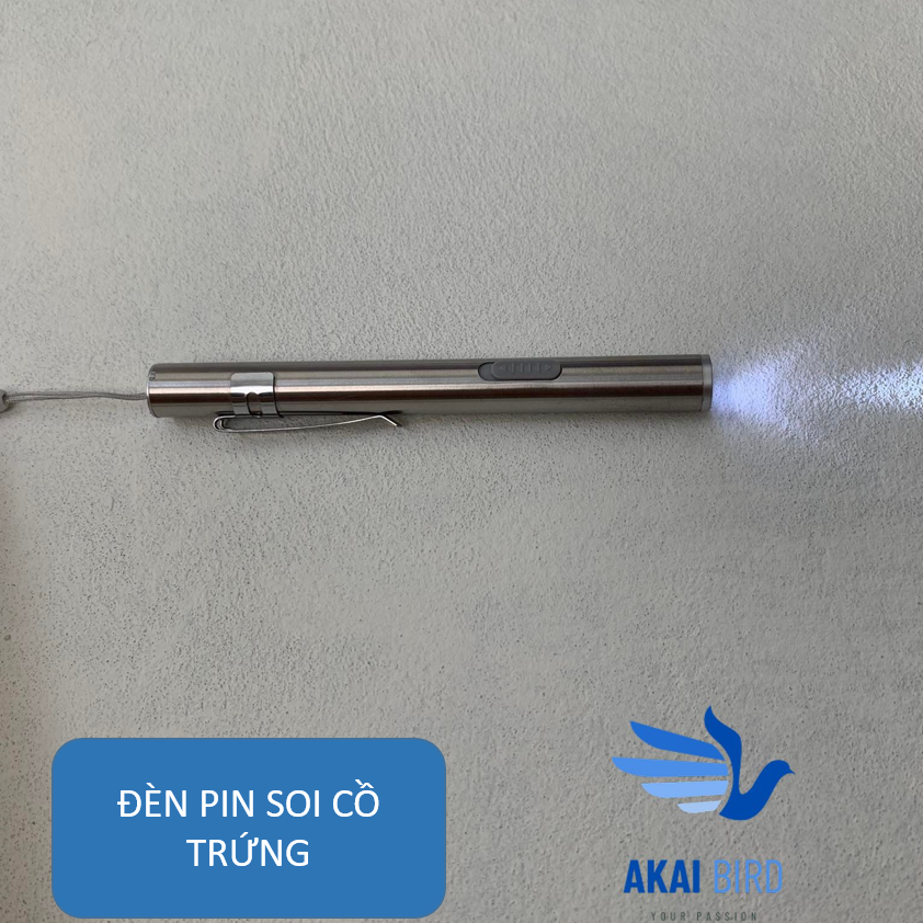 Đèn Pin Soi Cồ Trứng Vẹt Kèm Cáp Sạc
