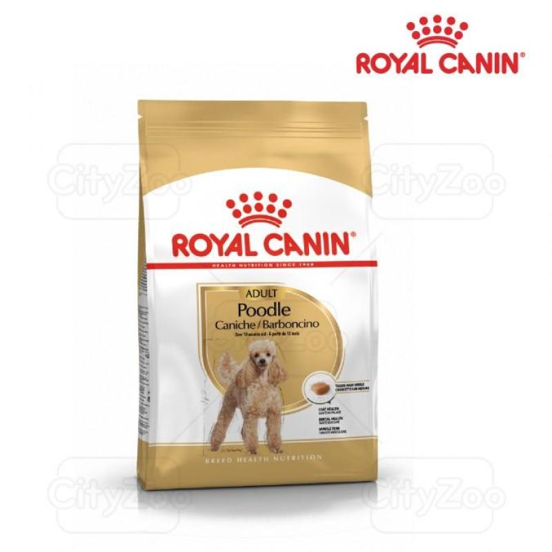 [HCM]Thức ăn cho chó trưởng thành Royal Canin Poodle Adult 1,5kg