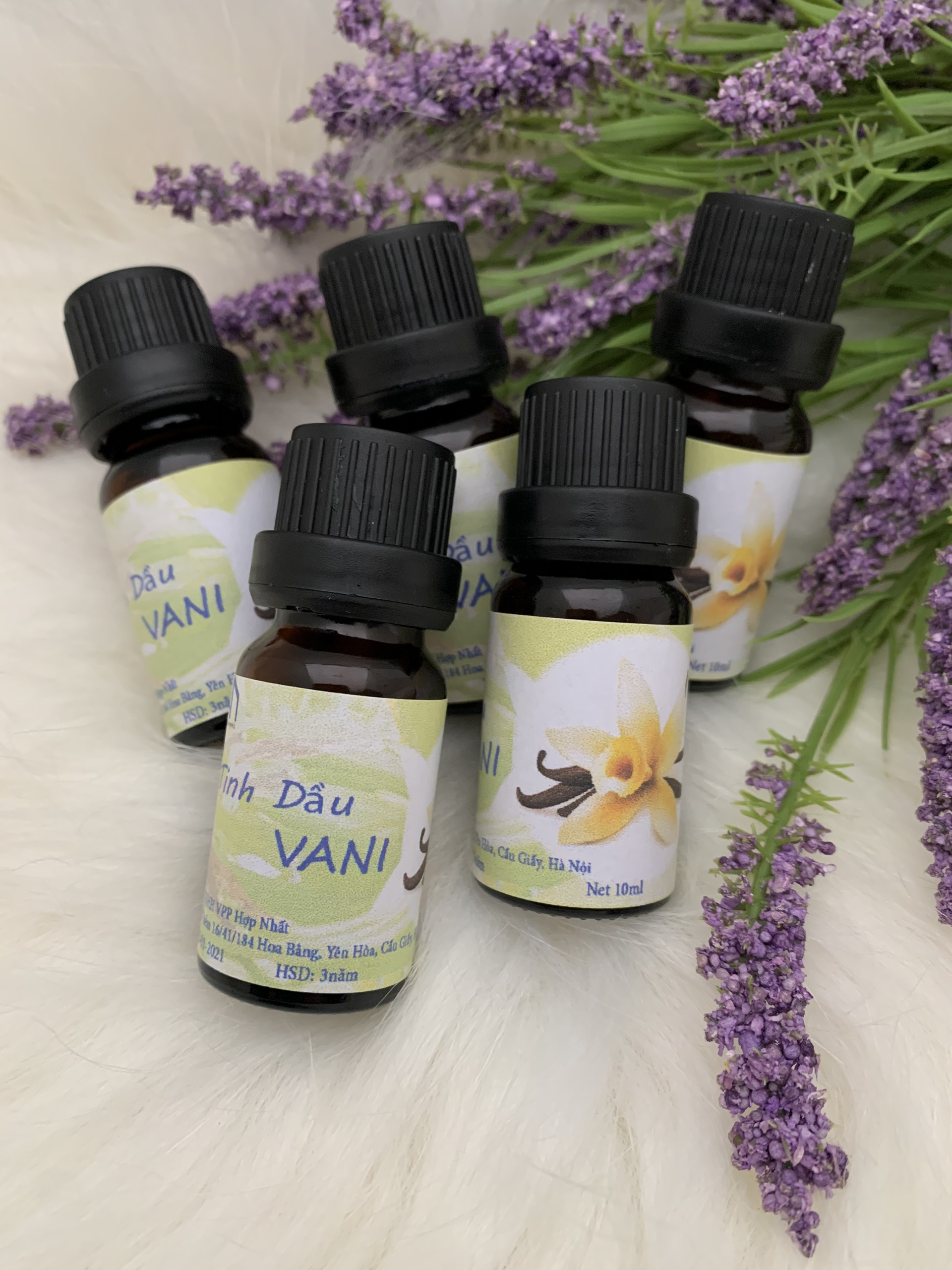 Tinh Dầu Thơm Hương Vani Lọ 10ml