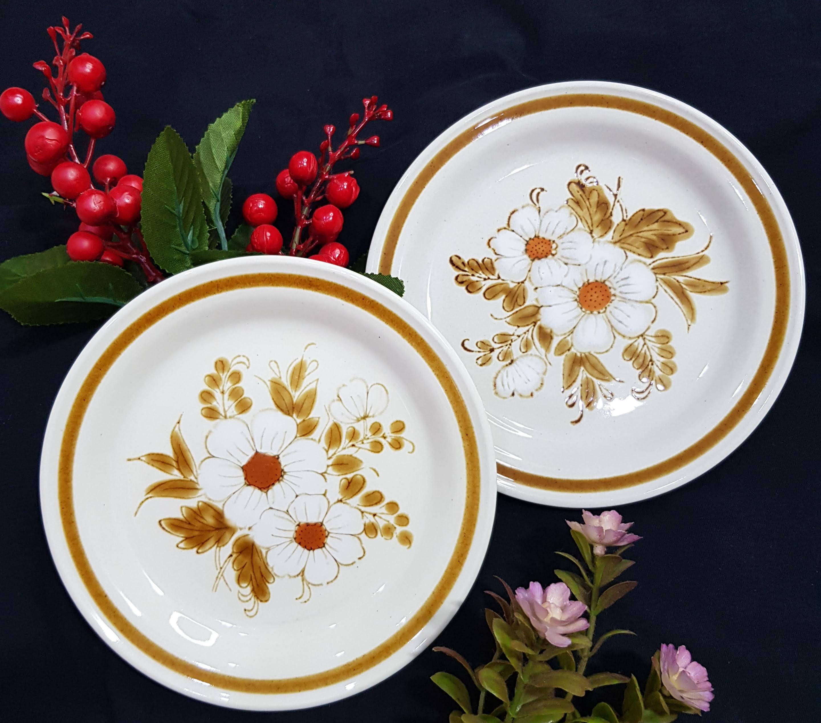 Đĩa gốm sứ cao cấp Nhật Bản