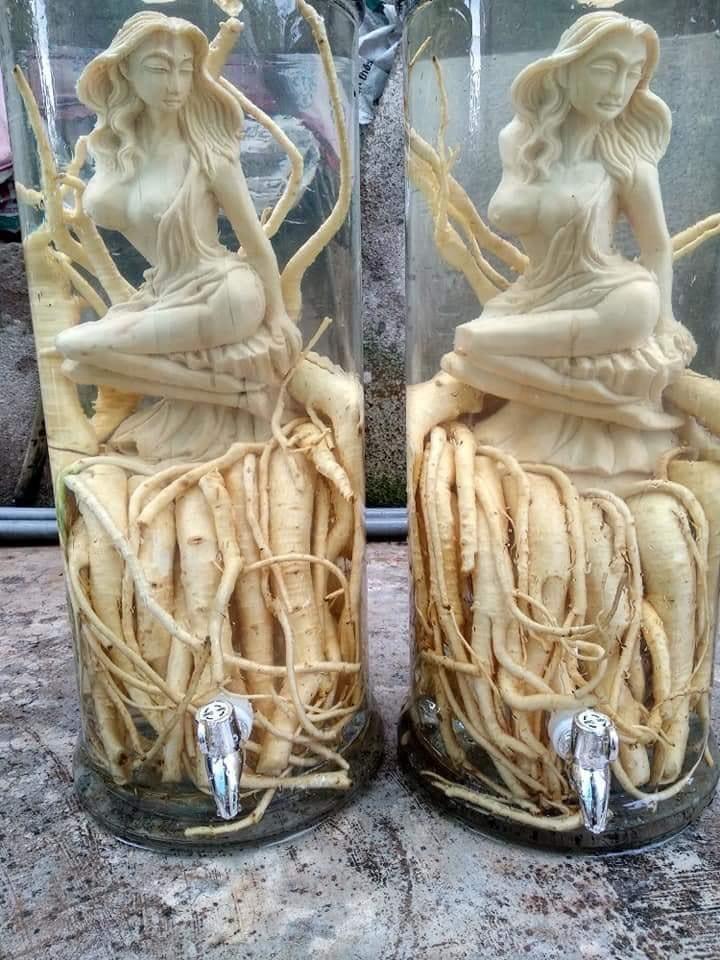 Rể đinh lăng điêu khắc - Hình nàng tiên cá ( bình 7l) - Hơn 1000 mẫu cho khách hàng chọn lựa