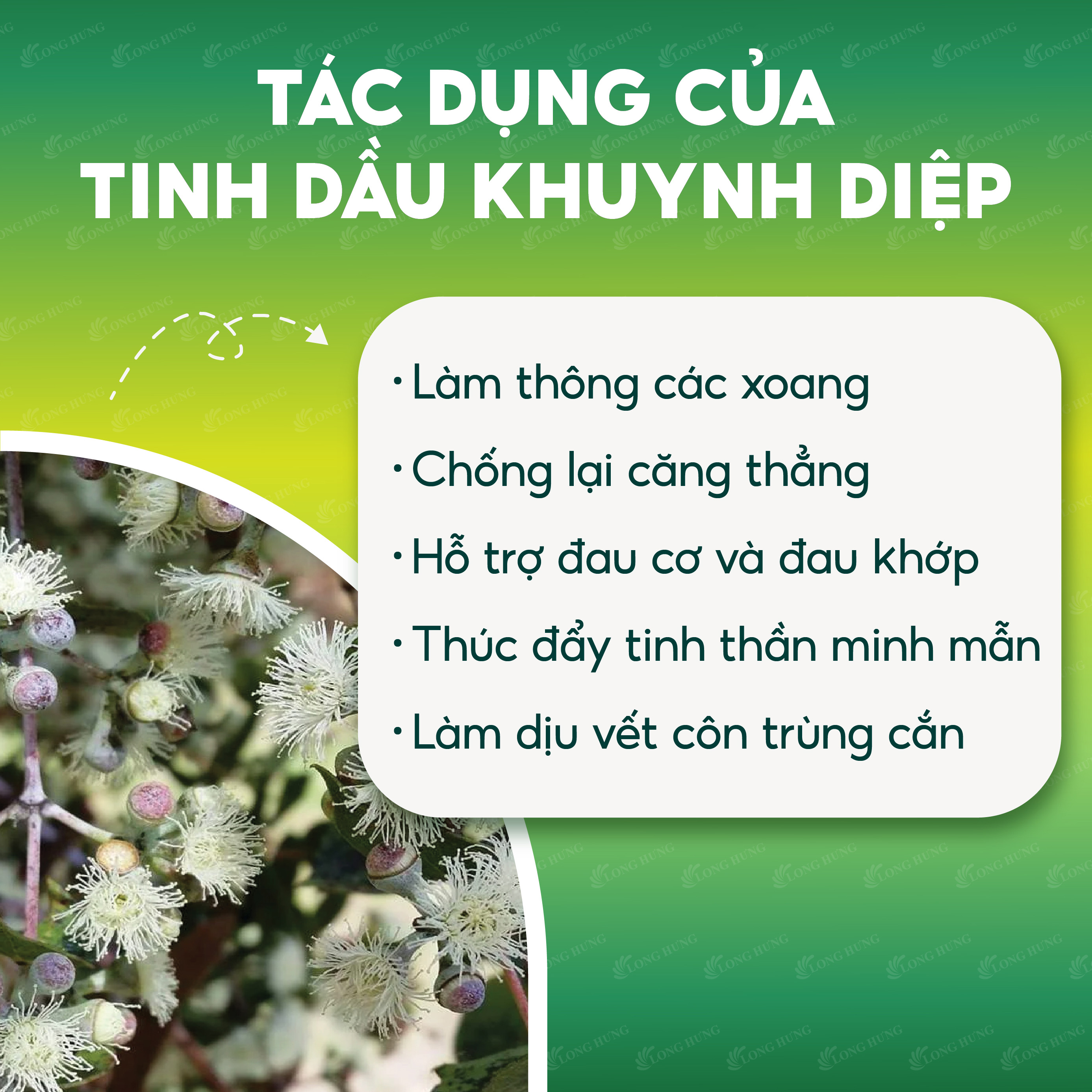 Dầu khuynh diệp con ó Eagle Brand Eucalyptus Oil Plus+ (25ml)