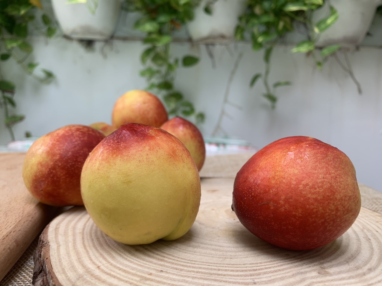 [Chỉ Giao HCM] Đào Láng Hà Nội - 1kg