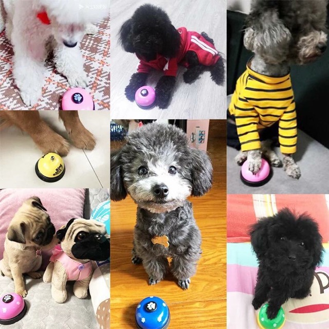 Chuông huấn luyện cho thú cưng🐶🐱